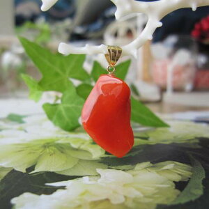 {EmYԎX ό`y_ggbv K18 w΃TSx X荥 җ a j   3̒a Mtg v[g 35N XEl