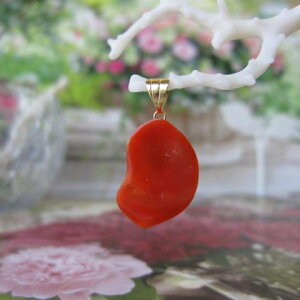 {EmYԎX ό`y_ggbv K18 w΃TSx X荥 җ a j   3̒a Mtg v[g 35N XEl