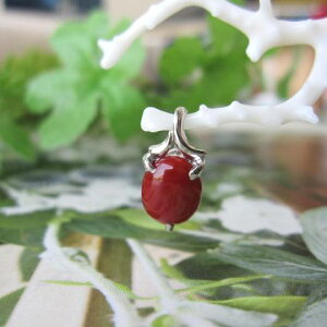 {EmYԎX fUCy_ggbv Pt900 w΃TSx X荥 җ a j   3̒a Mtg v[g 35N XEl