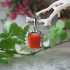 X XNGAfUCy_ggbv Pt900 _C0.58c w΃TSx X荥 җ a j   3̒a Mtg v[g 35N XEl