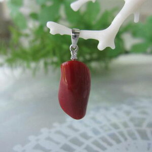 {EmYԎX ό`y_ggbv K18WG _Ch0.01ct w΃TSx X荥 җ a j   3̒a Mtg v[g 35N XEl