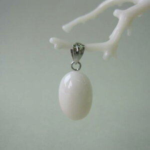 ~bhX I[oy_ggbv m w΃TSx X荥 җ a j   3̒a Mtg v[g 35N XEl