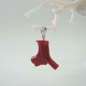 {EmYԎX }̃y_gbv Pt900 w΃TSx X荥 җ a j   3̒a Mtg v[g 35N XEl