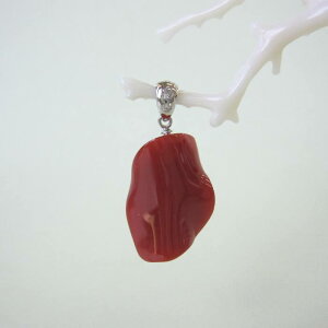 {EmYԎX ό`y_ggbv K18WG _C0.03ct w΃TSx X荥 җ a j   3̒a Mtg v[g 35N XEl