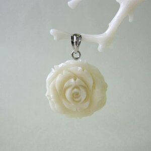 ~bhTS KN̉ԃy_ggbv m w΃TSx X荥 җ a j   3̒a Mtg v[g 35N XEl