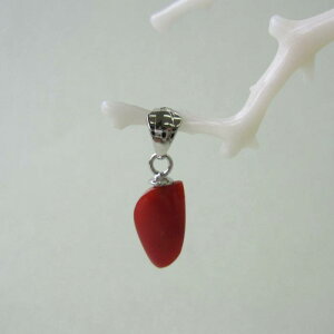 {EmYԎX ό`y_ggbv m w΃TSx X荥 җ a j   3̒a Mtg v[g 35N XEl