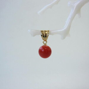 { mYԎX ۋʃy_ggbv i5.6~j K18 w΃TSx X荥 җ a j   3̒a Mtg v[g 35N XEl