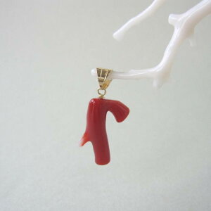 { mYԎX }̃y_gbv K18 ΃TS X荥 җ a j   3̒a Mtg v[g 35N XEl