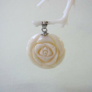 ~bhX KN̉ y_ggbv ^J ΃TS X荥 җ a j   3̒a Mtg v[g 35N XEl