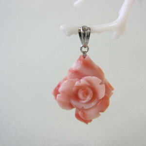 sNX KN̉ y_ggbv  ΃TS X荥 җ a j   3̒a Mtg v[g 35N XEl