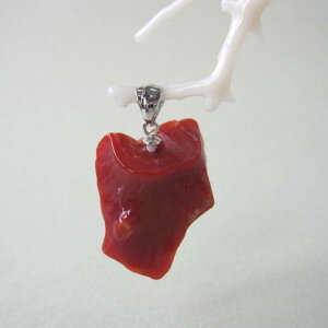 { mYԎX ό` y_ggbv SILVER ΃TS X荥 җ a j   3̒a Mtg v[g 35N XEl