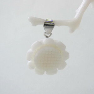 ~bhTS 킢y_g i14.5~j ^J w΃TSx X荥 җ a j   3̒a Mtg v[g 35N XEl