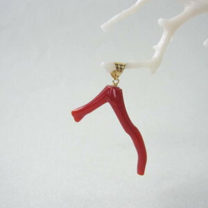 { yYԎX }y_gbv K18 lC uv w΃TSx X荥 җ a j   3̒a Mtg v[g 35N XEl