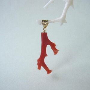 {EmYԎX }y_ggbv K18 w΃TSx X荥 җ a j   3̒a Mtg v[g 35N XEl