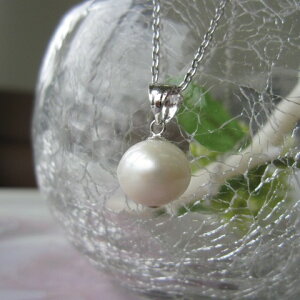 Wp[ y_ggbv 10~ SILVER ^ X VRX F  TS     N ̓  R[