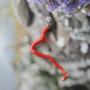 X i`Ȏ}y_ggbv SILVER VRf w΃TSx X荥 җ a j   3̒a Mtg v[g 35N XEl