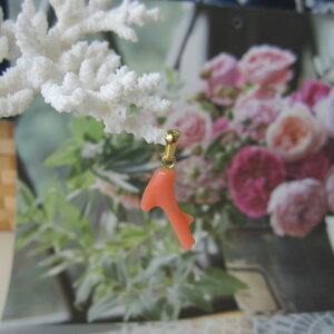 sNX }y_ggbv ^J VRf R[ANZ w΃TSx X荥 җ a j   3̒a Mtg v[g 35N XEl