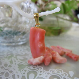 sNX } y_ggbv ^J VRf R[ANZ ΃TS X荥 җ a j   3̒a Mtg v[g 35N XEl