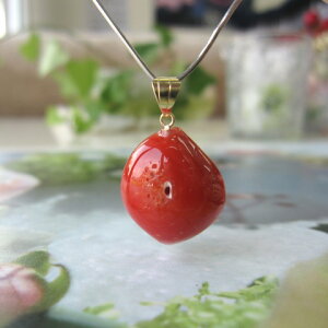 {EmYԎX ό`y_ggbv K18 [C̕ w΃TSx X荥 җ a j   3̒a Mtg v[g 35N XEl