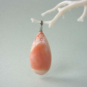 sNX hbvy_ggbv Pt900 w΃TSx X荥 җ a j   3̒a Mtg v[g 35N XEl