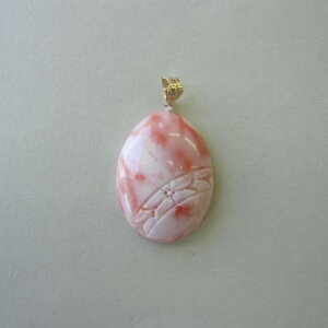 sNX I[oy_ggbv K18 w΃TSx X荥 җ a j   3̒a Mtg v[g 35N XEl