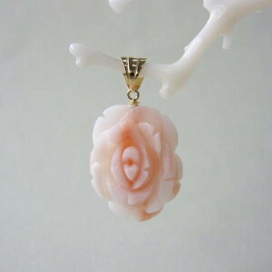 sNTS KN̉ y_ggbv K18 o ΂ w΃TSx X荥 җ a j   3̒a Mtg v[g 35N XEl