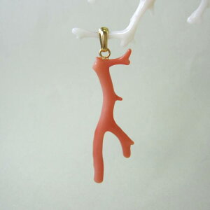 sNX }y_ggbv ^J VR ΃TS X荥 җ a j   3̒a Mtg v[g 35N XEl