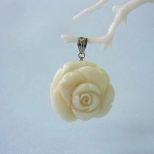 ~bhX ւKN̉ y_ggbv m ΃TS X荥 җ a j   3̒a Mtg v[g 35N XEl