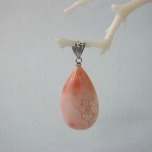 sNX TN̒ hbv y_ggbv K14WG ΃TS X荥 җ a j   3̒a Mtg v[g 35N XEl