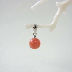 sNX ۋ y_ggbv i6.7~j Pt900 ΃TS X荥 җ a j   3̒a Mtg v[g 35N XEl