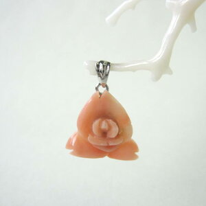 sNTS KN̉ y_ggbv m ΃TS X荥 җ a j   3̒a Mtg v[g 35N XEl