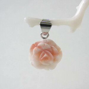 sNX KN̉ԃy_ggbv ^J w΃TSx X荥 җ a j   3̒a Mtg v[g 35N XEl