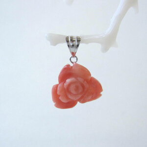 { mYԎX KN̉ y_ggbv K14WG w΃TSx X荥 җ a j   3̒a Mtg v[g 35N XEl