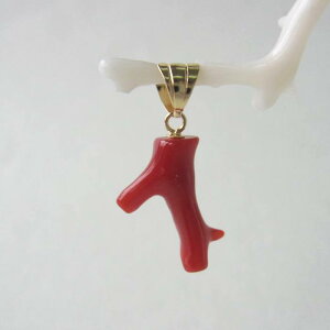 { mYԎX }̃y_gbv K18 ΃TS X荥 җ a j   3̒a Mtg v[g 35N XEl