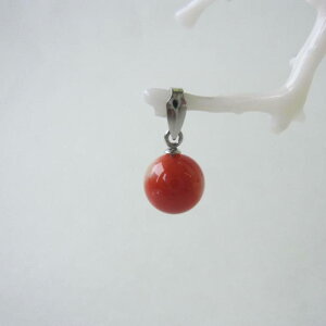 { mYԎX ۋ y_ggbv i7.1~j Pt900 w΃TSx X荥 җ a j   3̒a Mtg v[g 35N XEl