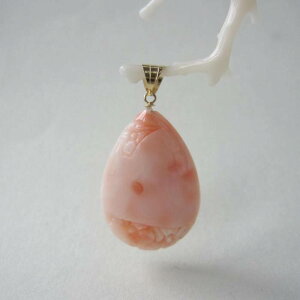 sNX hbvy_ggbv K18 w΃TSx X荥 җ a j   3̒a Mtg v[g 35N XEl