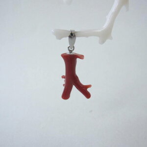 { mYԎX }̃v`y_gbv Pt900 ΃TS X荥 җ a j   3̒a Mtg v[g 35N XEl