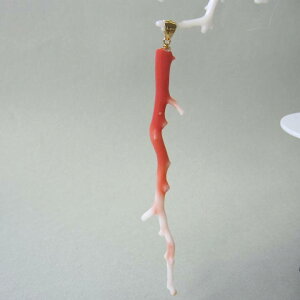 X i`Ȏ} y_ggbv SILVER VRf ΃TS X荥 җ a j   3̒a Mtg v[g 35N XEl