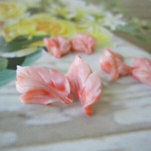 sNX tσsAX K14WG R[w΃TSx X荥 җ a j   3̒a Mtg v[g 35N XEl