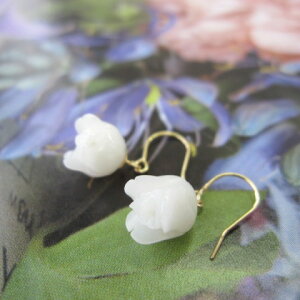 XKNQ̃tbNsAX i6.5~j K18 ڂ C[ANZw΃TSx X荥 җ a j   3̒a Mtg v[g 35N XEl