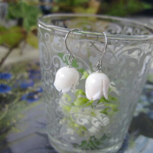 XoQ̃tbNsAX SILVER KN ڂ݁w΃TSx X荥 җ a j   3̒a Mtg v[g 35N XEl