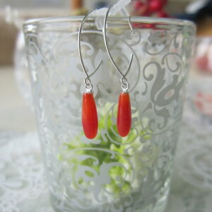 {EmYԎX eBAhbv t[vsAX K14WG VRLb` w΃TSx X荥 җ a j   3̒a Mtg v[g 35N XEl