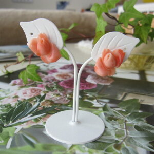 sNXւKN̉ԃsAX K18 ΂ w΃TSx X荥 җ a j   3̒a Mtg v[g 35N XEl