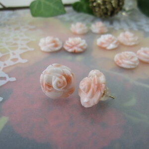 sNX KN̉ sAX K18 i13`14~j R[ ANZ w΃TSx X荥 җ a j   3̒a Mtg v[g 35N XEl