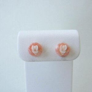 X KN̉ sAX K18 iVRLb`j ΂ o ΃TS X荥 җ a j   3̒a Mtg v[g 35N XEl