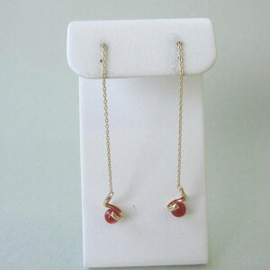 {EmYԎX OsAX i4.2~j K18 AJ w΃TSx X荥 җ a j   3̒a Mtg v[g 35N XEl