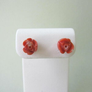 X ôڂ sAX K18  ΂ ΃TS X荥 җ a j   3̒a Mtg v[g 35N XEl