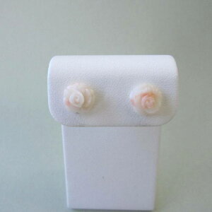 sNX KN̉ sAX K14WGiVRLb`j ΂ ow΃TSx X荥 җ a j   3̒a Mtg v[g 35N XEl