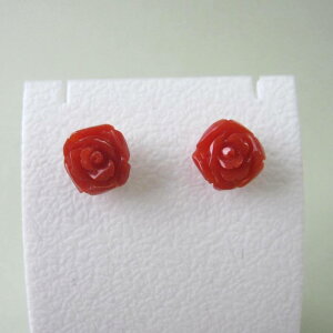 { mYԎX  KN̉ sAX K18 ΂ ΃TS X荥 җ a j   3̒a Mtg v[g 35N XEl