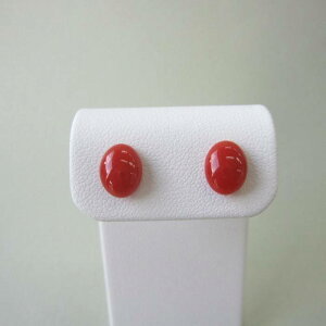 { mYԎX I[o sAX i9.1×7~j K18  ΃TS X荥 җ a j   3̒a Mtg v[g 35N XEl